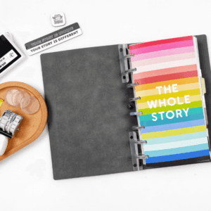 Disc bound traveler’s notebook covers